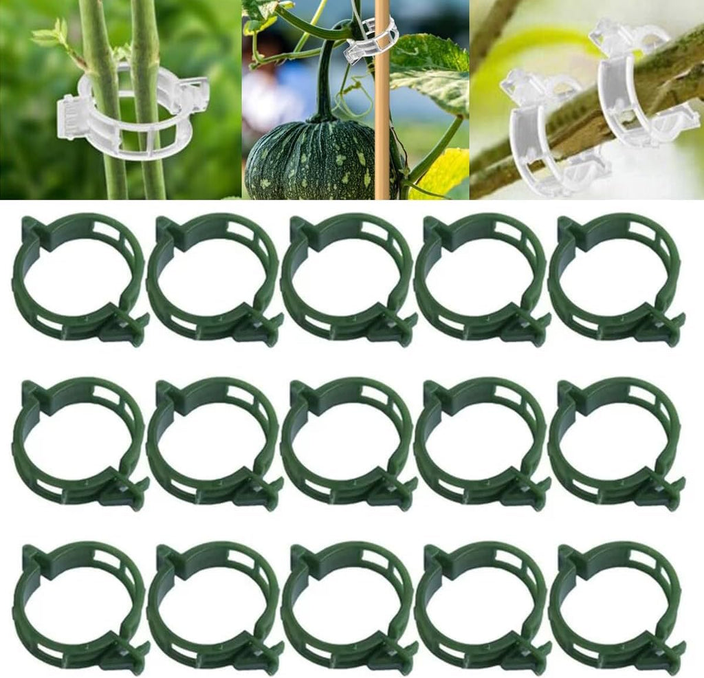Plant Support Clips, Garden Clips for Climbing Plants, Tomato Clips Plastic Plant Clips, Plant Clips for Support Grape Tomato Vegetables Plants to Grow Upright Makes Plants Healthier (100, Green)
