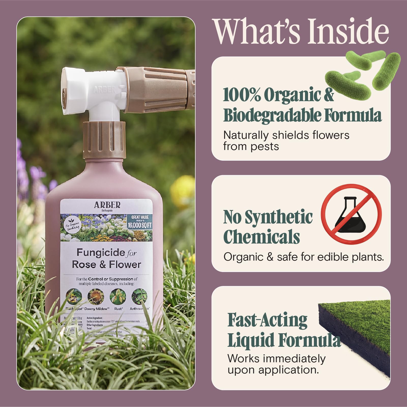Organic Insecticide & Fungicide for Plants - Indoor/Outdoor, 16oz | Indoor and outdoor protection controls powdery mildew, spider mites, aphids, whiteflies, and fungus gnats