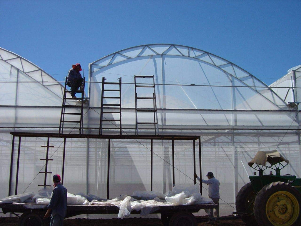 A&A Greenhouse Clear Plastic Film 8 mil - Polyethylene Covering - UV Protection - (10 ft. W x 25 ft. L)