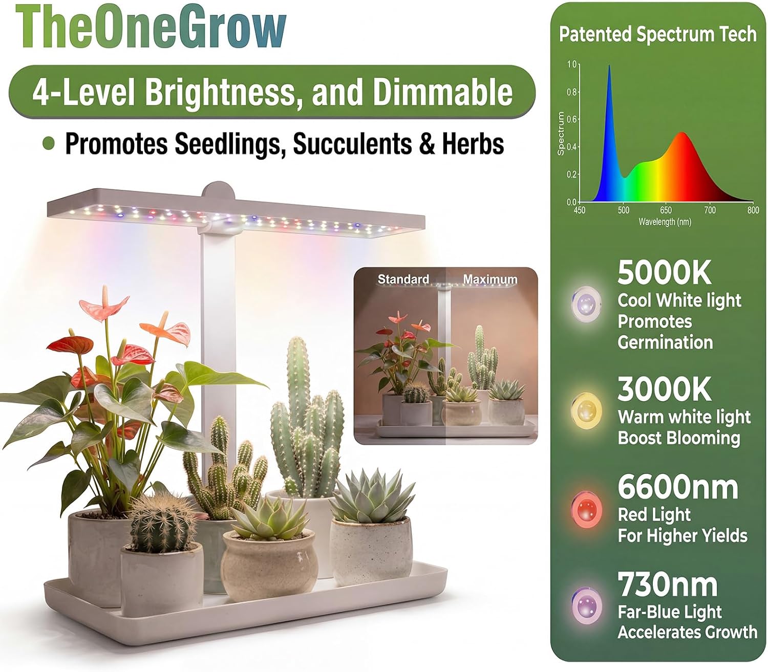 Desk Grow Light with Tray, Small Full Spectrum Plant Light for Indoor Plants, Adjustable Height Tabletop Grow Lamp for Succulents, Bonsai, Seedlings & Herbs, Auto 3/9/12H Timer, 4 Dimmable Levels