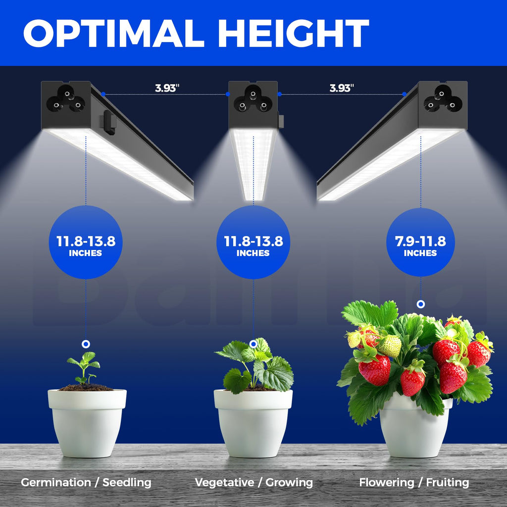 Barrina Grow Lights for Indoor Plant, T5 1FT Full Spectrum, Yellow, 4 Packs | Black Cover LED Grow Light Strips, Linkable, Plant Light for Indoor Plants Growing, 3 Mounting Modes, Separate On/Off