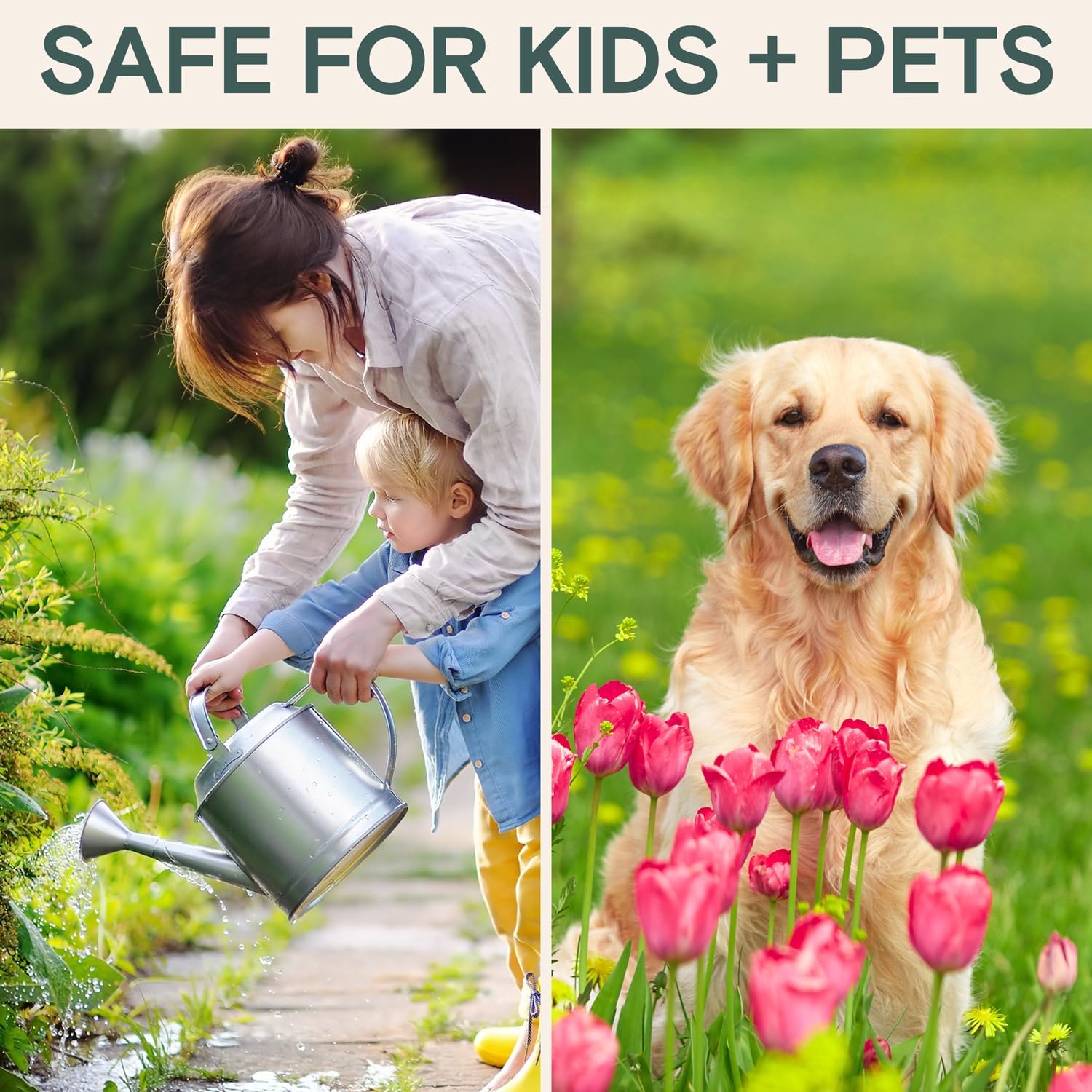 Organic Insecticide & Fungicide for Plants - Indoor/Outdoor, 16oz | Indoor and outdoor protection controls powdery mildew, spider mites, aphids, whiteflies, and fungus gnats