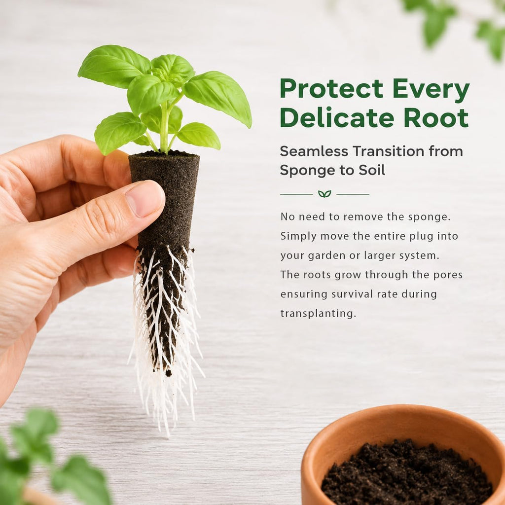 MAQIHAN 50 Grow Sponges for Hydroponics - Seed Pods for Garden Seed Starter Pods Growing System Plant for Seed Plugs Garden Cube Sponges Replacement | Hydroponic Pod, Replacement Seed Starting, Rooting Plug For Indoor Gardening System, Growing Vegetable,