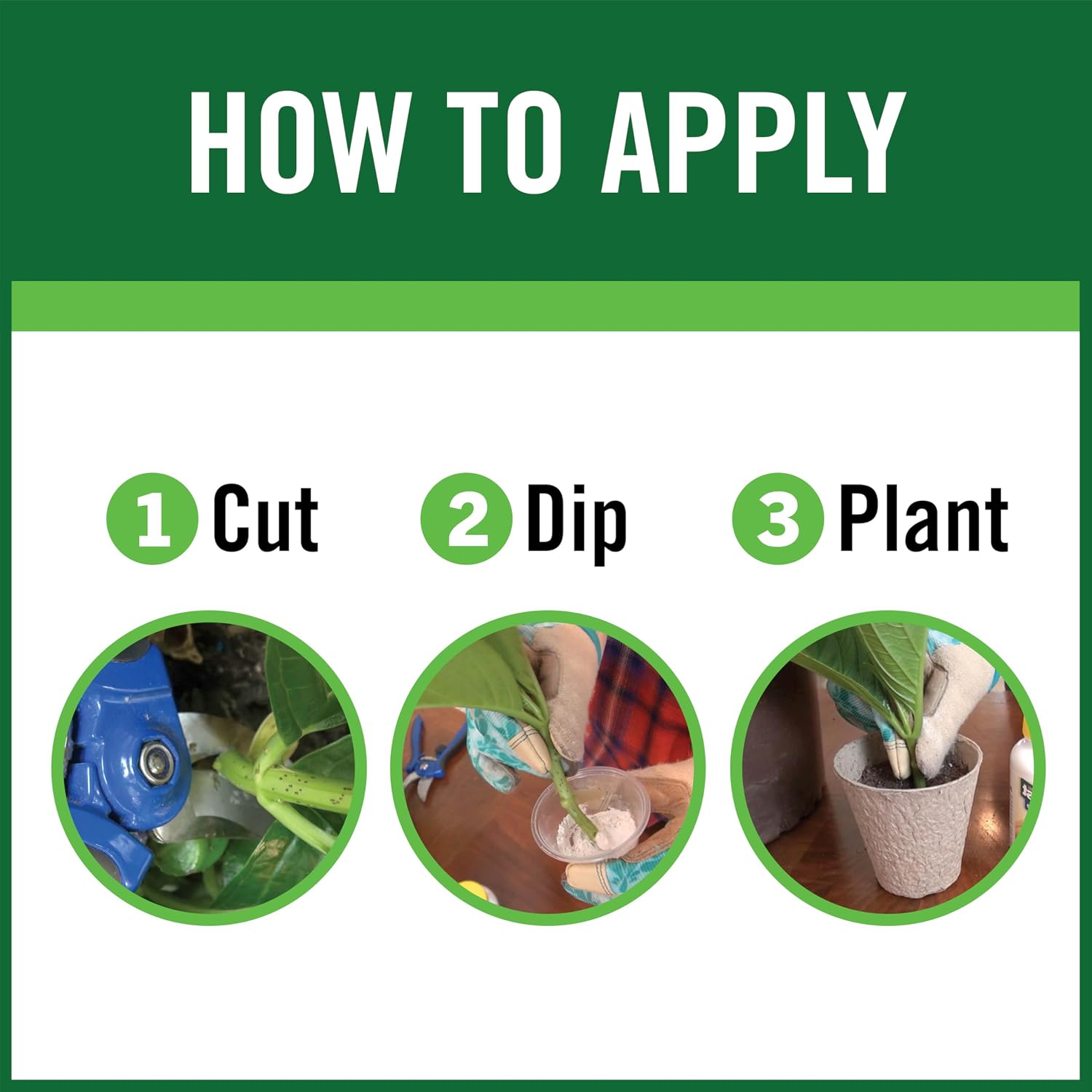 RootBoost Rooting Hormone, Rooting Powder for Plant Cuttings, 2 Ounces | Propagation for indoor and outdoor plants, container gardens and garden ornamentals, contains Hormodin 1
