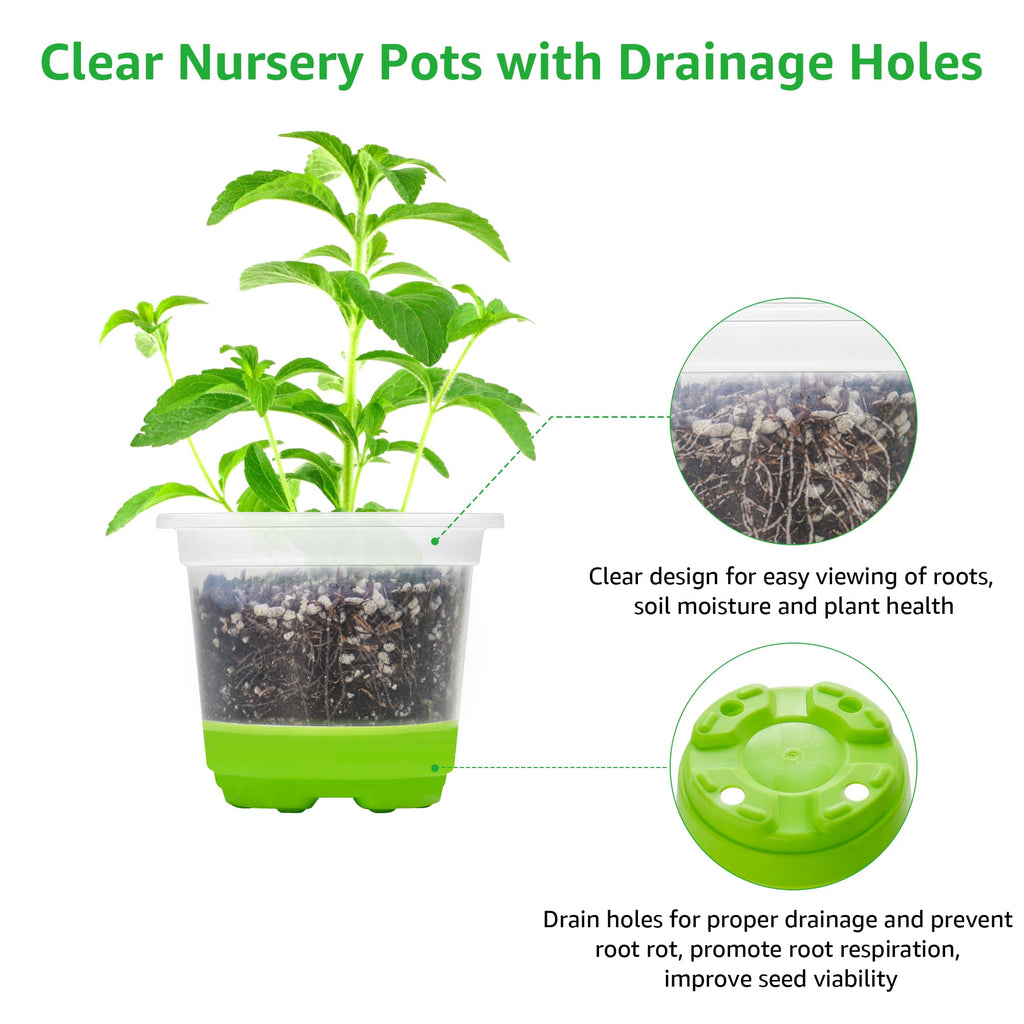 MIXC Clear Nursery Pots with Silicone Base, 4-Inch, 30-Pack | Sturdy Construction, Flexible Base, Drainage Holes, Root and Soil Visibility, Reusable, Seed Starting, Propagation, Green