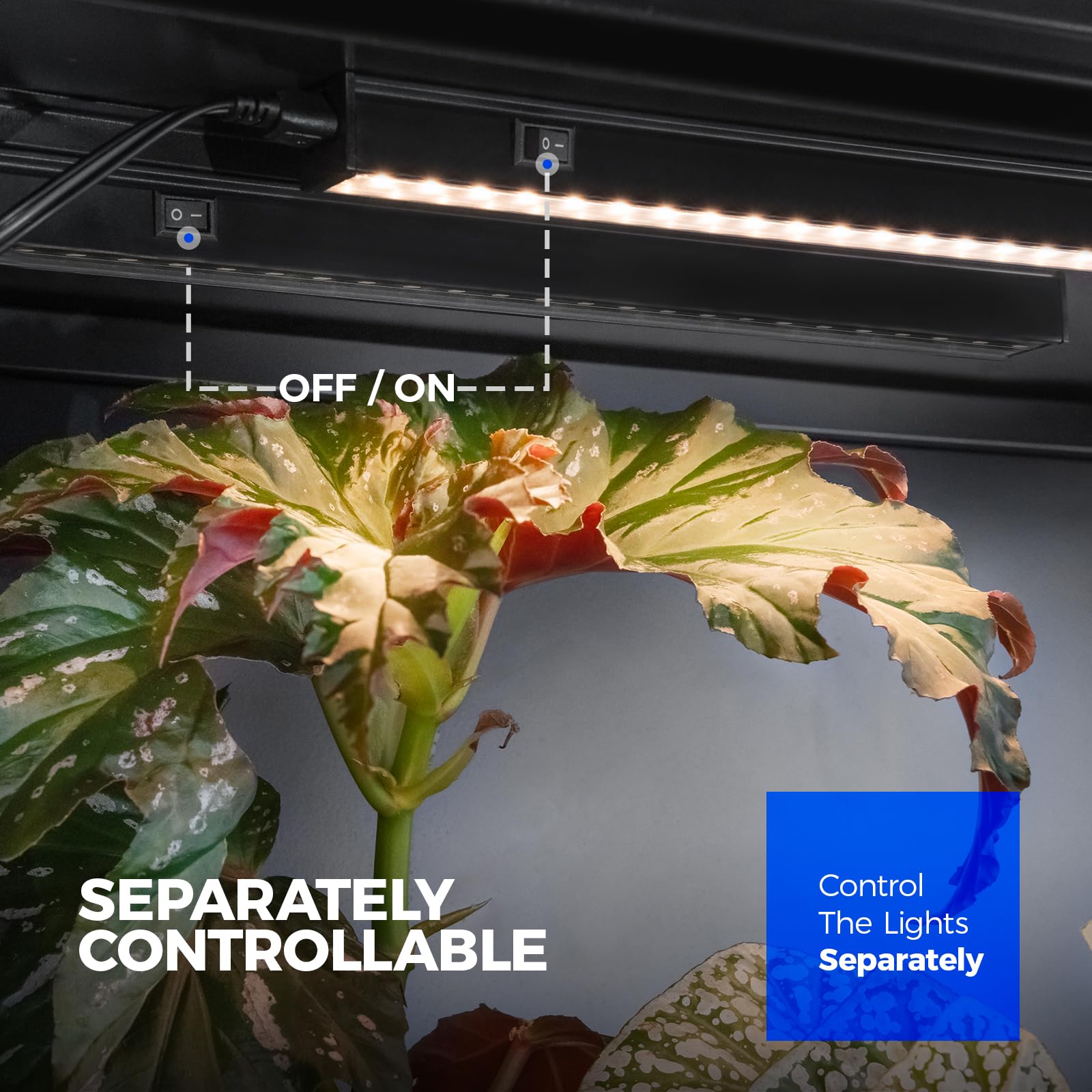 Barrina Grow Lights for Indoor Plant, T5 1FT Full Spectrum, Yellow, 4 Packs | Black Cover LED Grow Light Strips, Linkable, Plant Light for Indoor Plants Growing, 3 Mounting Modes, Separate On/Off