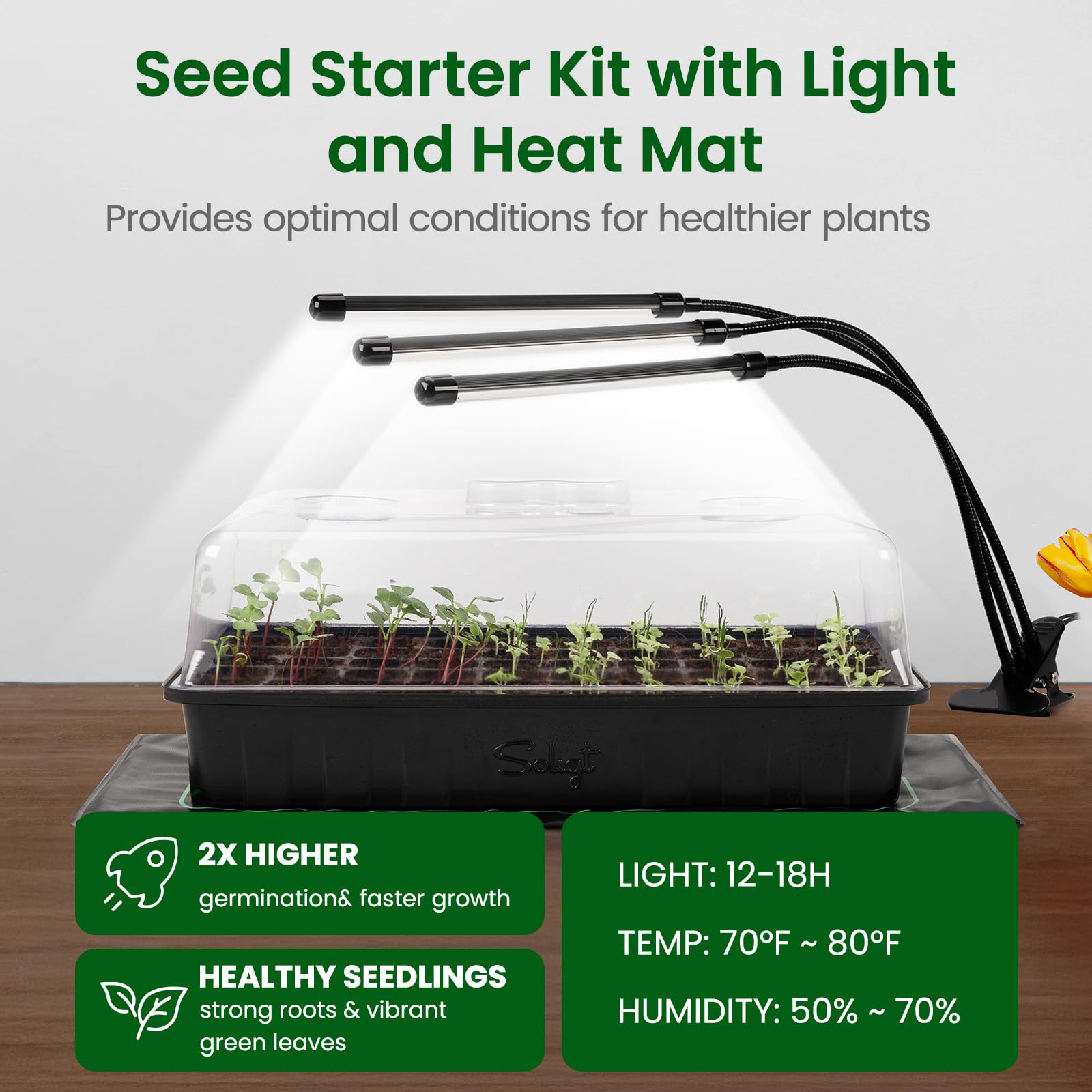 SOLIGT 3 Set 60-Cell Seed Starter Kit with Domes, Cell Trays and Heat Mats | Cloning, Propagation and Germination Station
