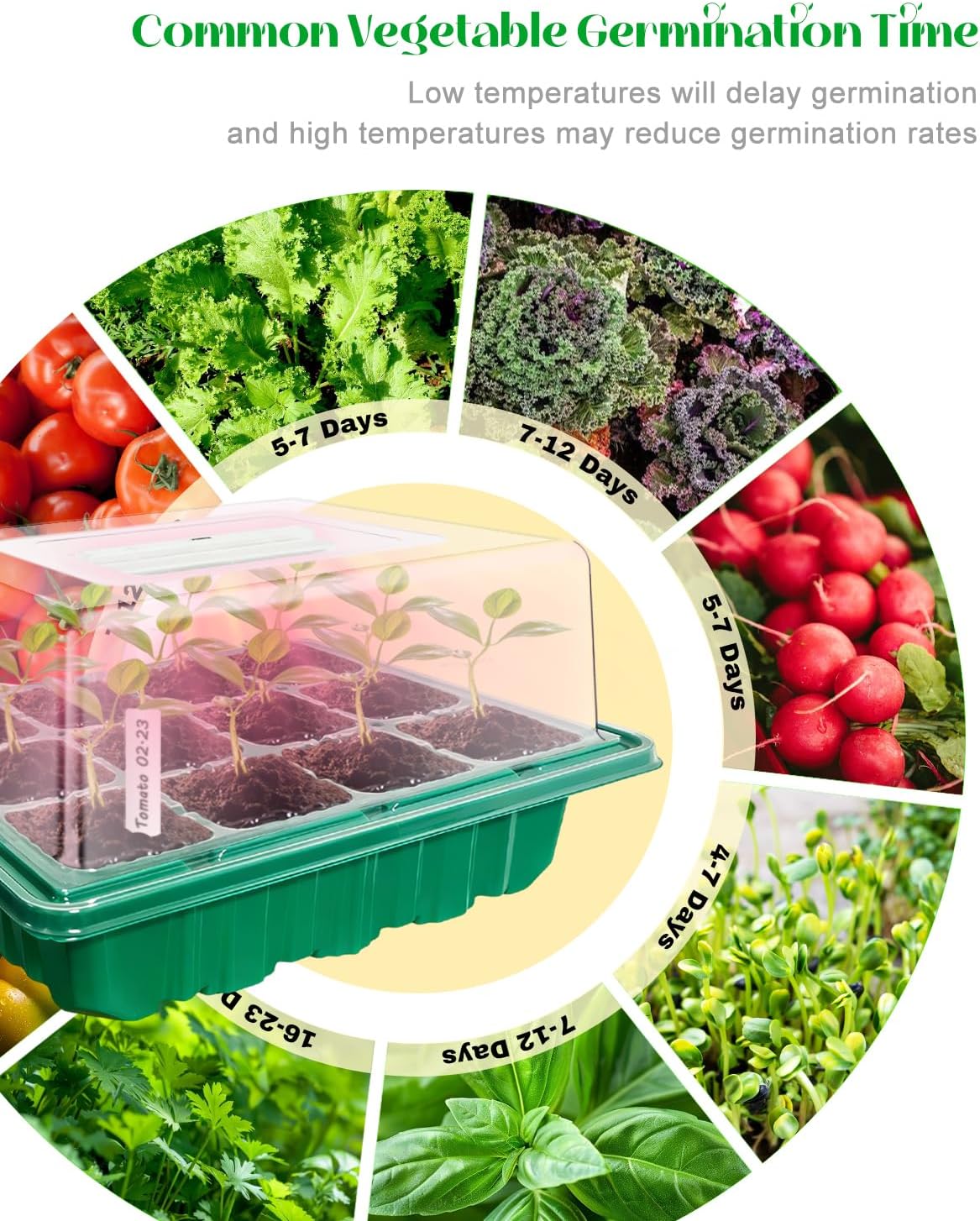 Seed Starter Tray with Grow Light (2x 24-LED), 2 Pack for Seed Starting | Seed Starter Kit with Humidity Domes and Timing Controller, Adjustable Brightness, Reusable Thicken Seedling Starter