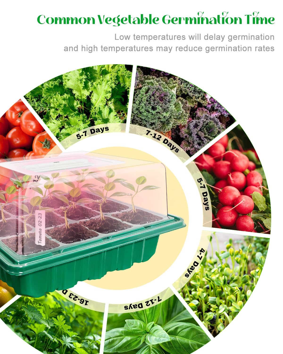 Seed Starter Tray with Grow Light (2x 24-LED), 2 Pack for Seed Starting | Seed Starter Kit with Humidity Domes and Timing Controller, Adjustable Brightness, Reusable Thicken Seedling Starter
