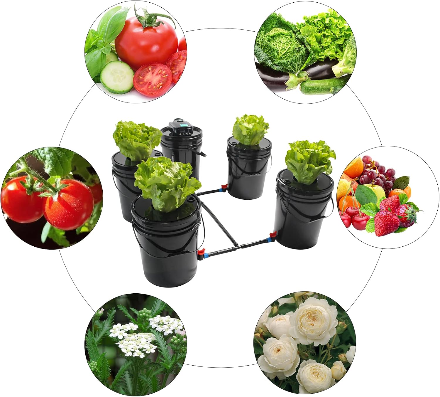 DWC Hydroponic Growing System, 5-Gallon Deep Water Culture, Deep Culture Growing Kit with 5 Buckets, Pump, Air Stone and Water Level Device, for Indoor/Outdoor Leafy Vegetables