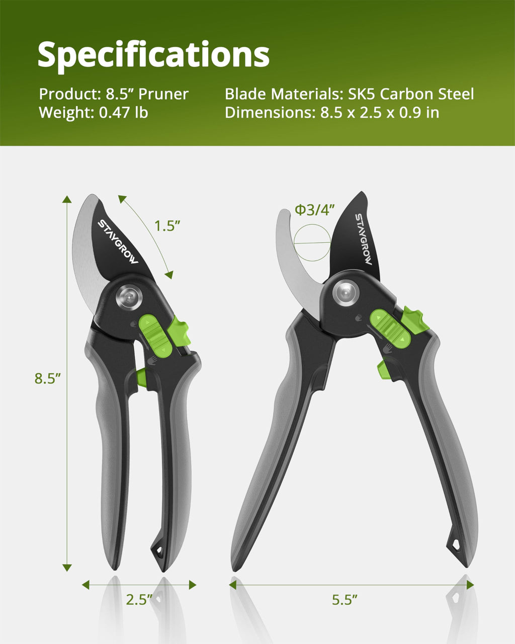 2pcs 6.5" Pruning Shears for Gardening Ultra Sharp Garden Scissors | Plant Snips for Precise Cuts, Stainless Steel Bonsai Clippers with Spring Loaded, Garden Shears (1pc Straight & 1pc Curved)