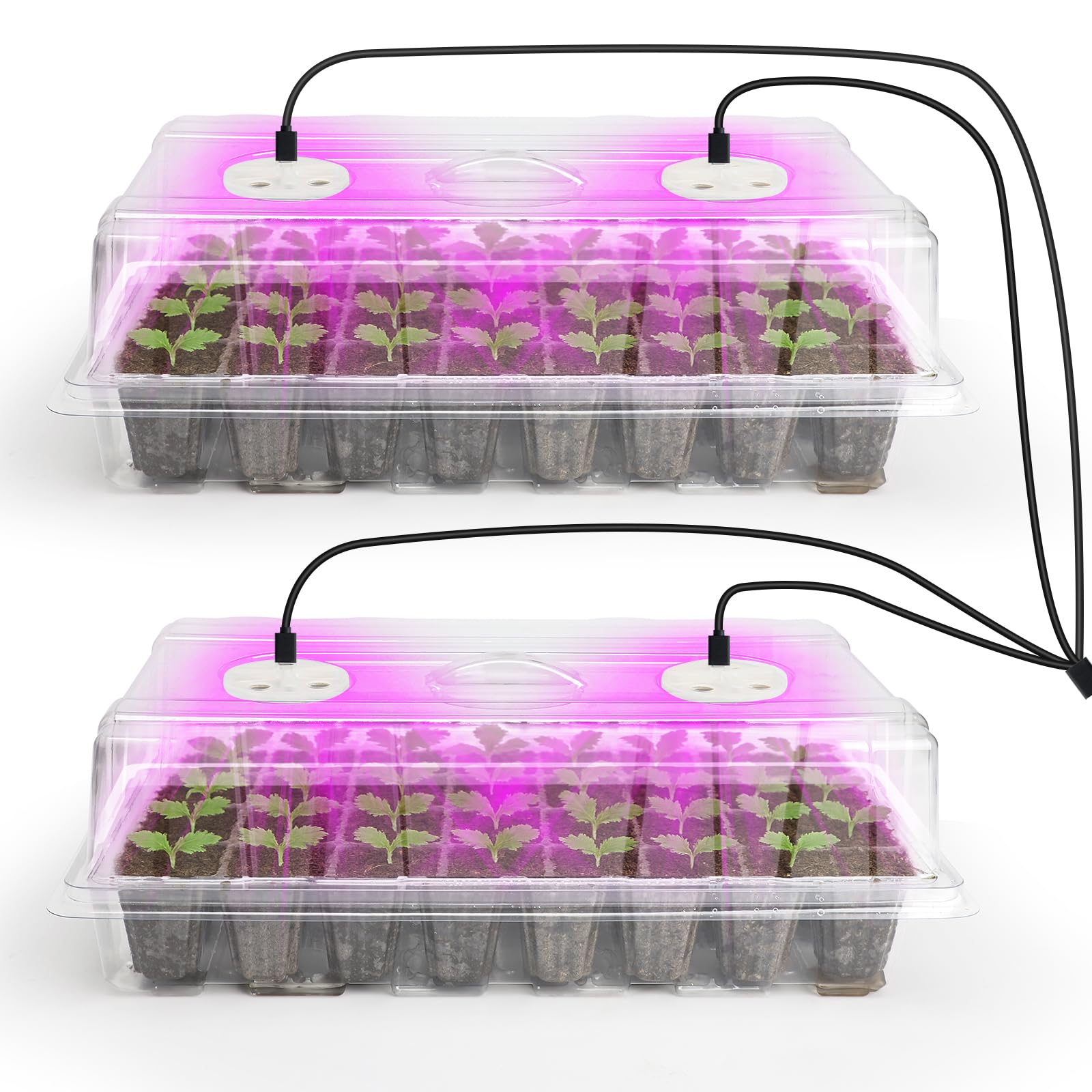 Seed Starter Trays with 12-LED Grow Lights, Clear, 5 Pack | 5 clear-base seedling kits, 60 cells, 12-LED grow light per tray, vented humidity domes, drainage holes, 1-to-5 USB cable