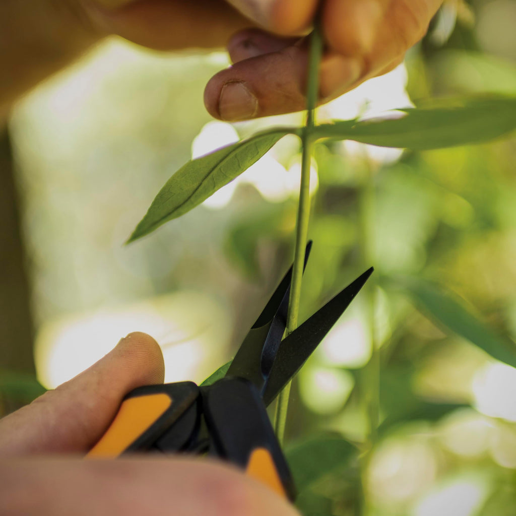Fiskars 6" Non-Stick Pruning Snips, Resin-Resistant Garden Scissors