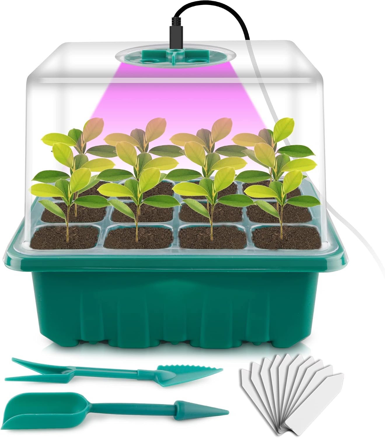 Seed Starter Tray with Grow Light, Seed Starter Kit, Plant Germination Starting Trays with Humidity Dome and Base for Greenhouse Grow Wheatgrass Hydroponic(12 Cells per Tray)