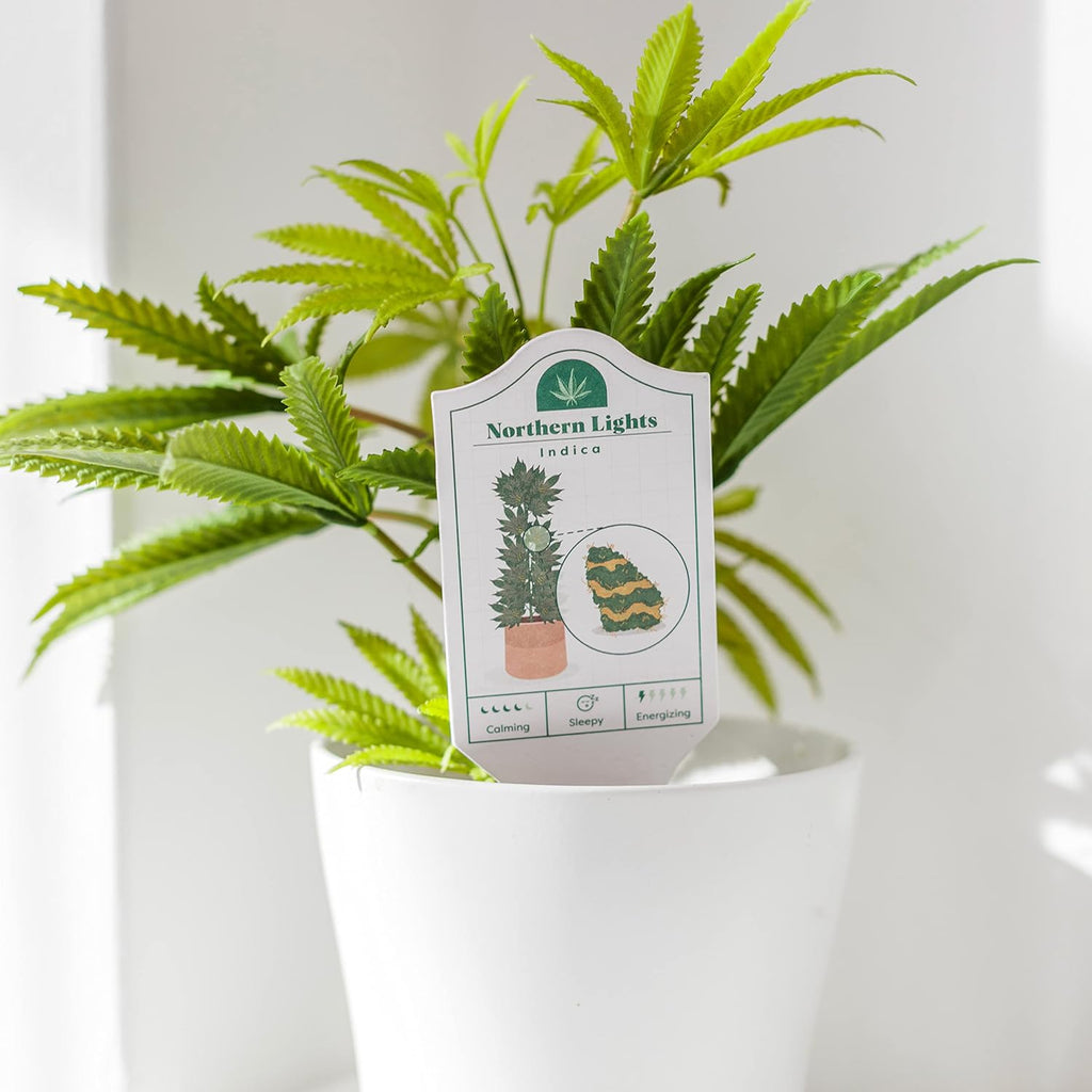 Cannabis Grower’s Guides - Weed Accessories - Marijuana Accessories - Cannabis Accessories - Marijuana Gifts for Women - Marijuana Gifts for Men