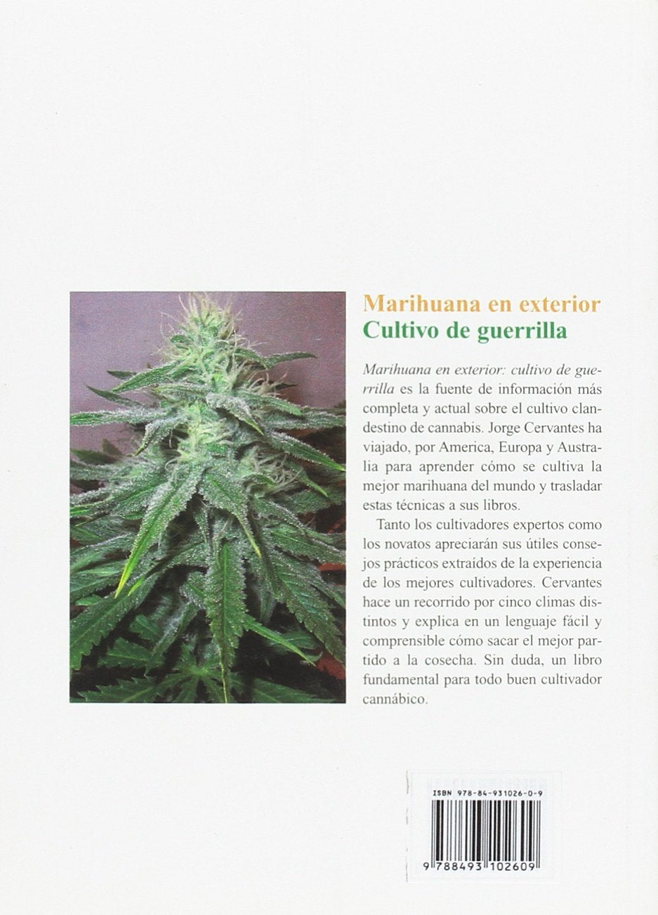 Marihuana en exterior: cultivo de guerrilla
