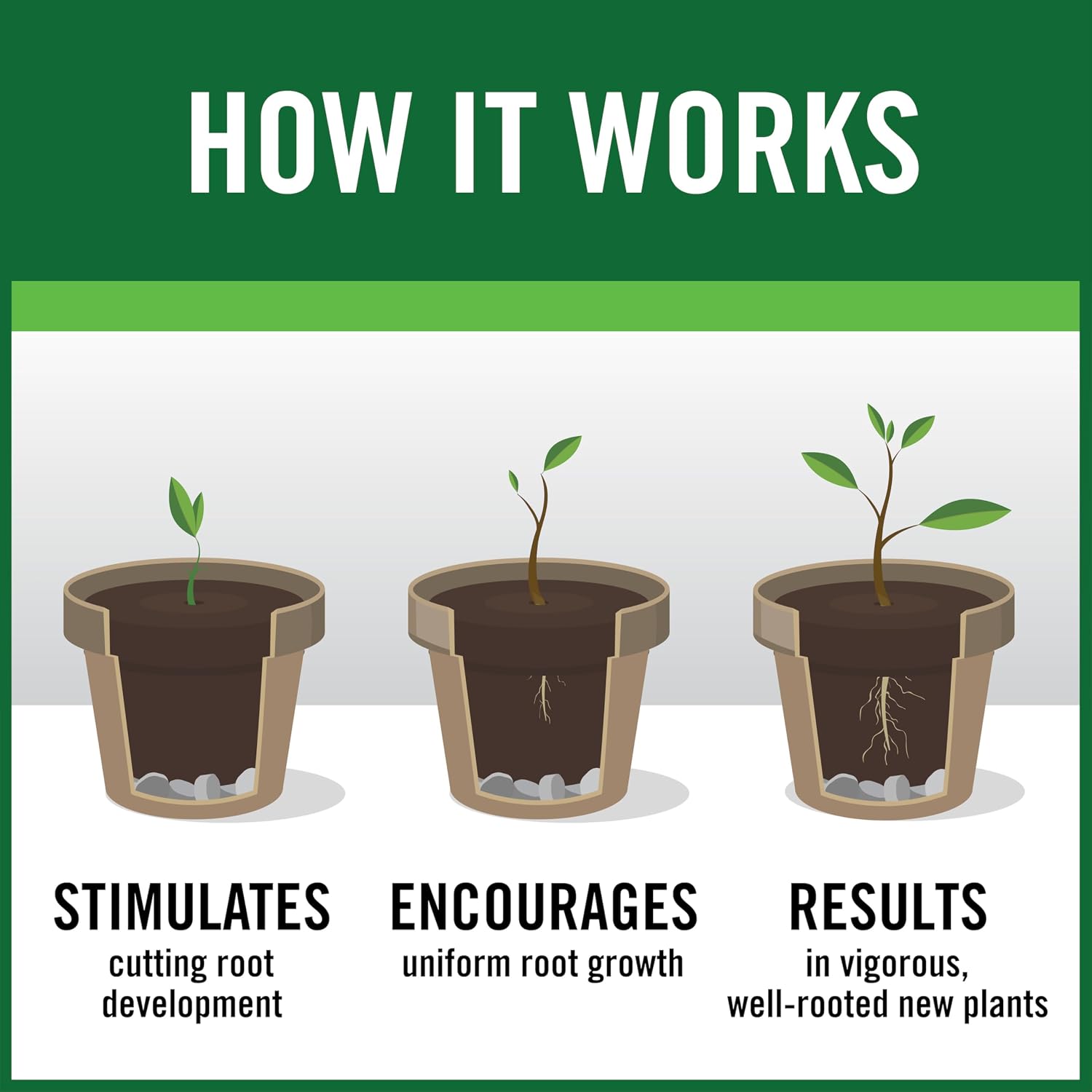 RootBoost Rooting Hormone, Rooting Powder for Plant Cuttings, 2 Ounces | Propagation for indoor and outdoor plants, container gardens and garden ornamentals, contains Hormodin 1