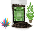 Premium JUST-ADD-Water Potting Soil Mix - Optimal Nutrient-Rich Blend for Thriving and HIGH-Yield Herbal Plants - 3 Quart