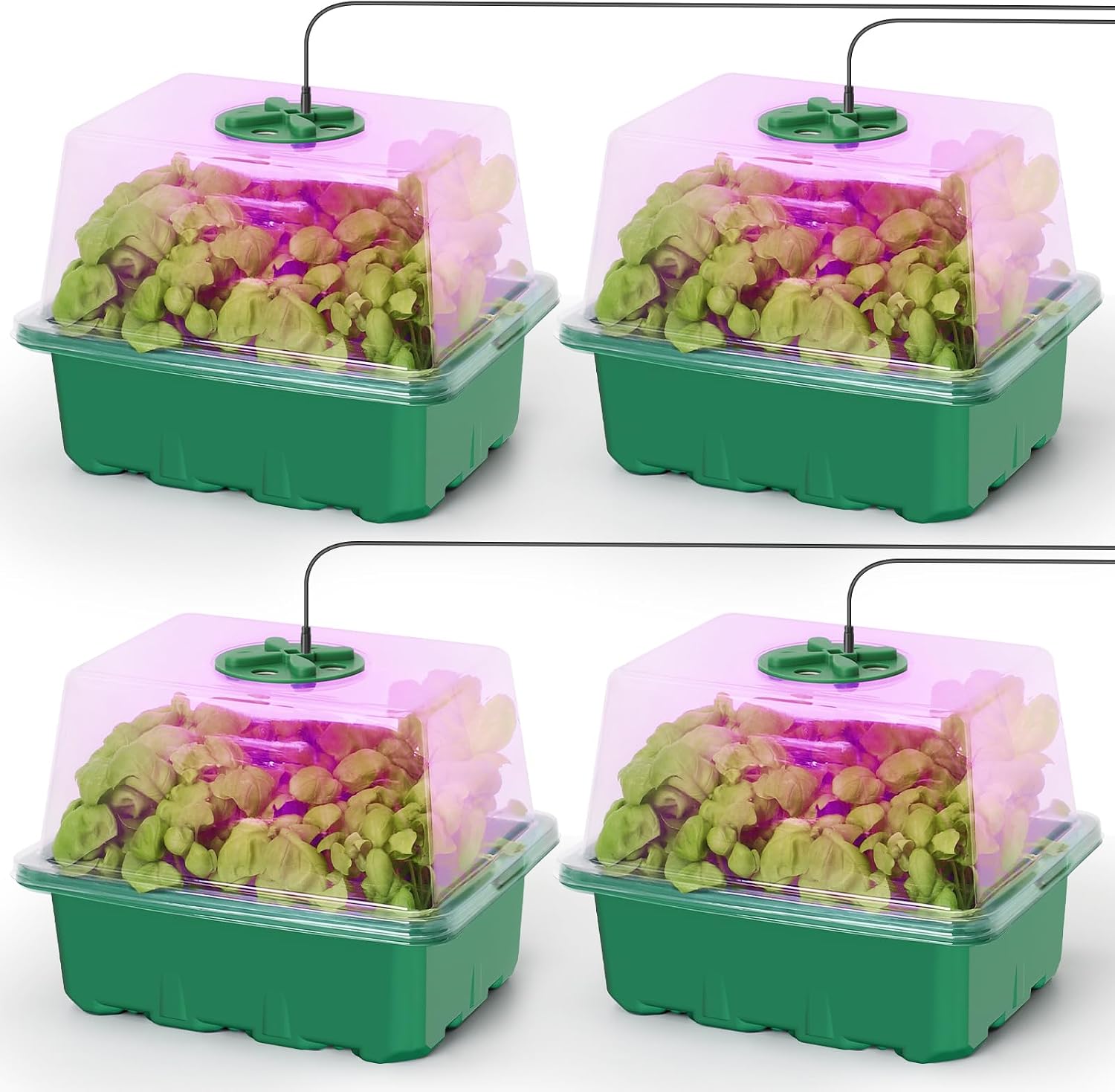 Kit de inicio de semillas MIXC con luz de crecimiento, kit de bandeja para plántulas elevadas con cúpula de humedad ajustable y bandeja de celdas transparentes, 12 perlas LED de espectro completo para