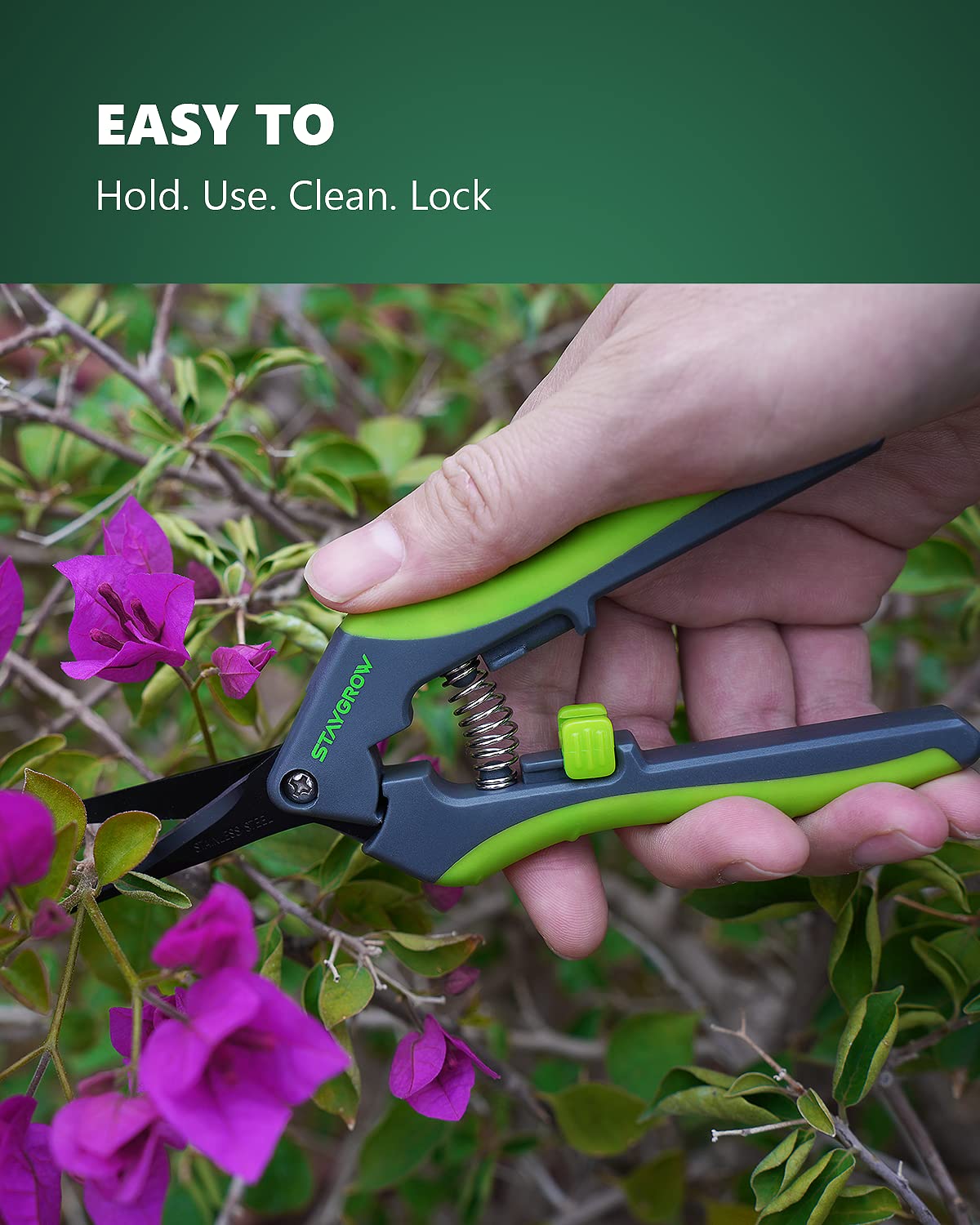 2pcs 6.5" Pruning Shears for Gardening Ultra Sharp Garden Scissors | Plant Snips for Precise Cuts, Stainless Steel Bonsai Clippers with Spring Loaded, Garden Shears (1pc Straight & 1pc Curved)