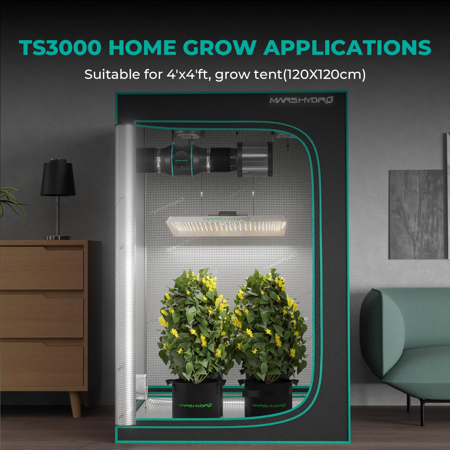 MARS HYDRO 150W TS1000 LED Grow Light for Indoor Plants Full Spectrum | Patented Reflective Hood, Dimmable & Silent Fanless, Daisy-Chain Link, Uniform Light for 2x2/3x3 Grow Tent, Veg to Bloom
