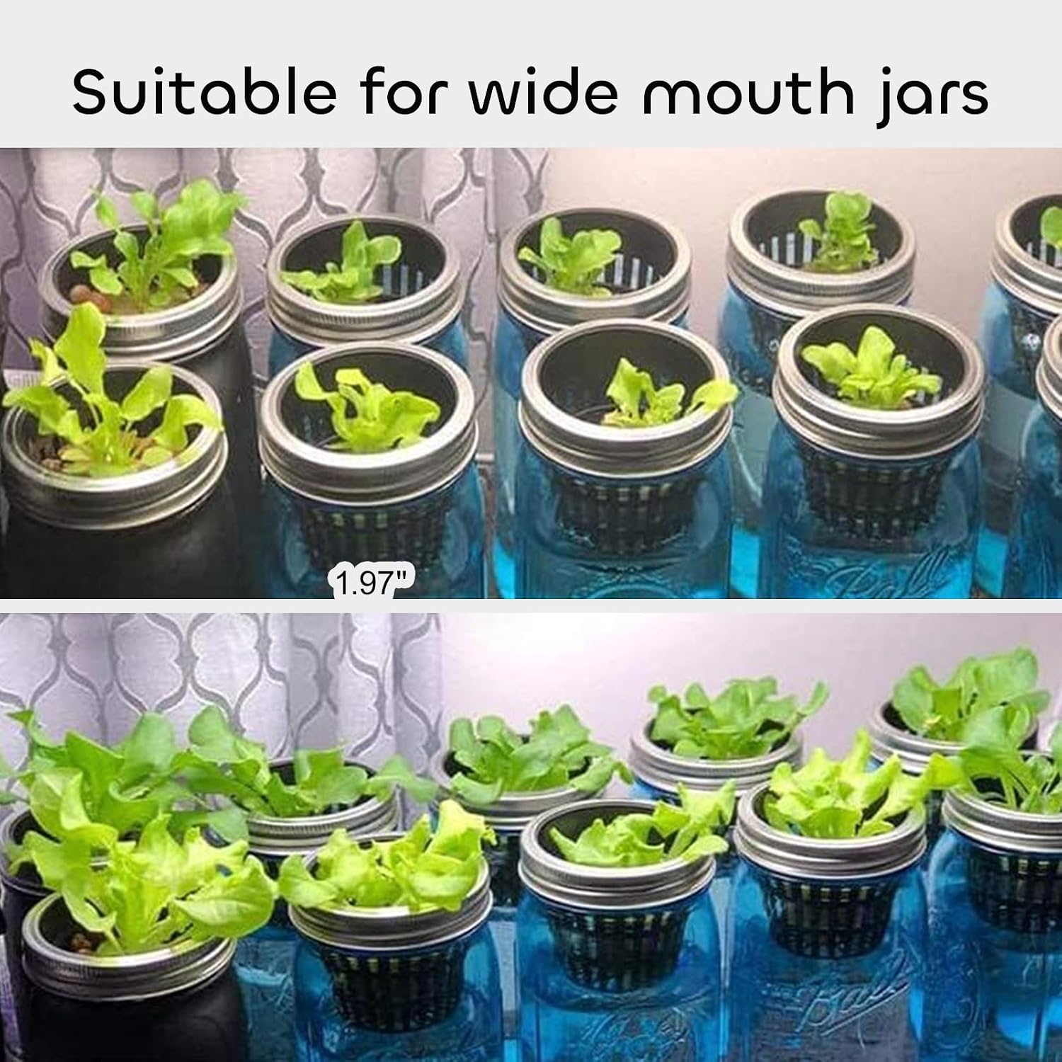 GROWNEER Net Pots 50 Pcs 2 Inch Garden Slotted Mesh Net Cups with 50Pcs Plant Labels, Heavy Duty Hydroponic Pot Supplies Planting Grow Basket for Indoor Outdoor