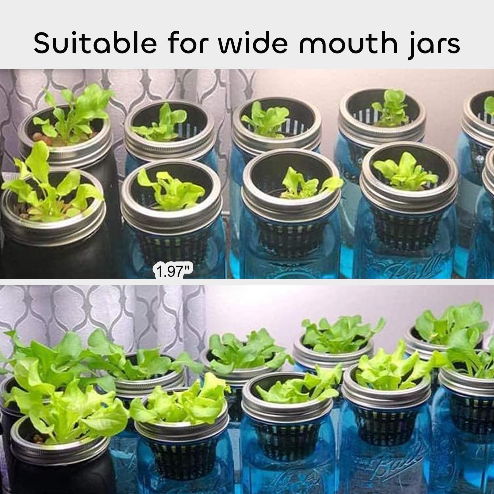 GROWNEER Net Pots 50 Pcs 2 Inch Garden Slotted Mesh Net Cups with 50Pcs Plant Labels, Heavy Duty Hydroponic Pot Supplies Planting Grow Basket for Indoor Outdoor