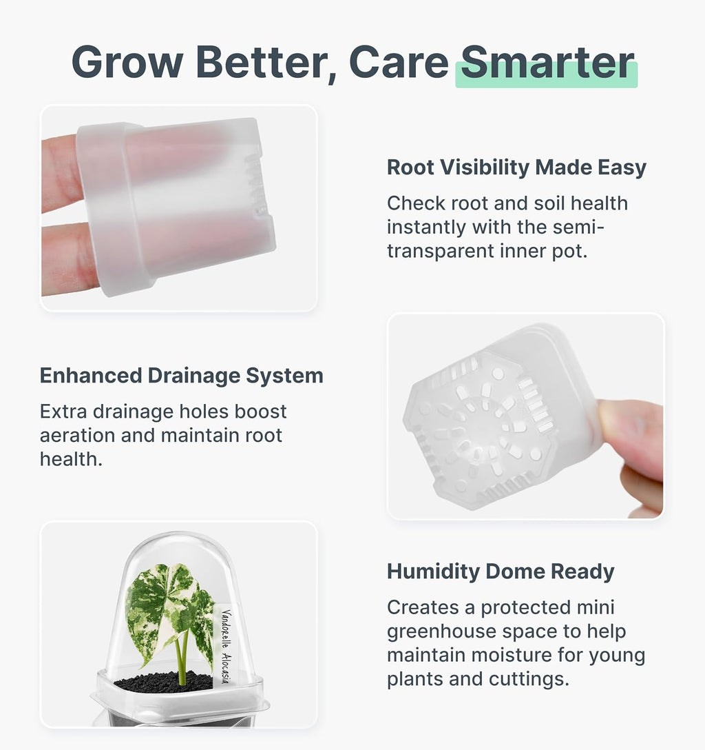 Paquete de 12 macetas pequeñas de autorriego transparente de 2 pulgadas con cúpula de humedad para plantas de interior, tazas de inicio de semillas, kit de aclimatación de cultivo de