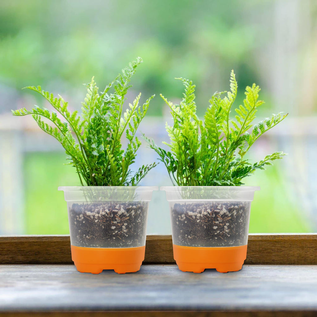MIXC Clear Nursery Pots with Silicone Base, 4-Inch, 30-Pack | Sturdy Construction, Flexible Base, Drainage Holes, Root and Soil Visibility, Reusable, Seed Starting, Propagation, Green
