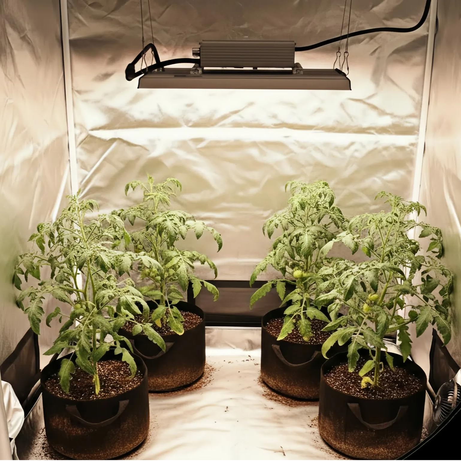MA2000 LED Grow Lights for Seed Starting Vegetables Bloom, 200W Dimmable Daisy Chain, Grow Lights for Indoor Plants Full Spectrum for 2x4/4x4ft Coverage, Grow Tent, High Yield Cultivation