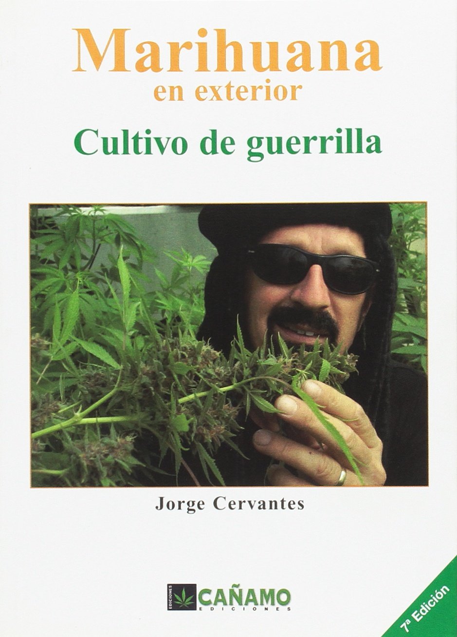 Marihuana en exterior: cultivo de guerrilla