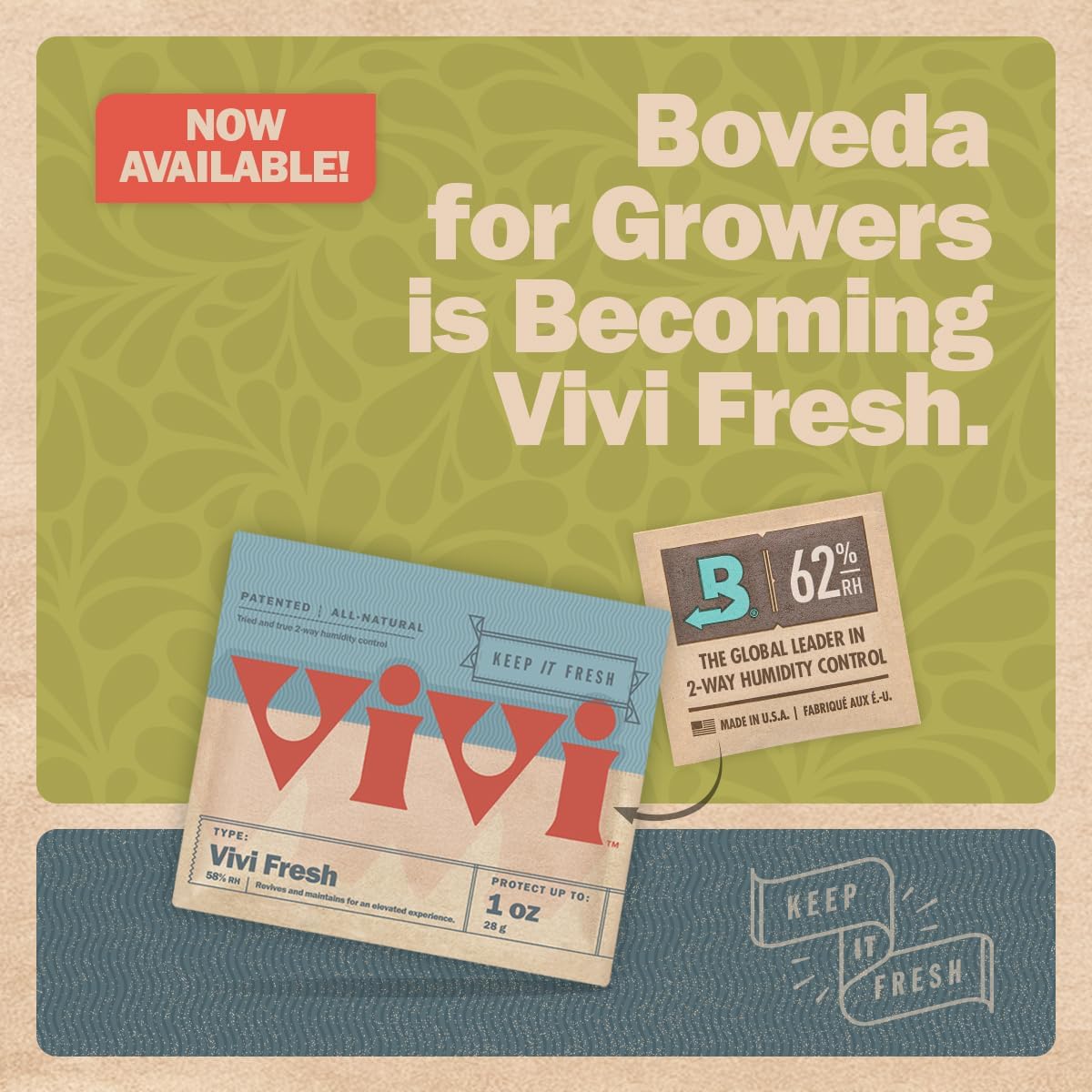 Boveda 62% Two-Way Humidity Control Packs For Storing ½ oz – Size 4 – 10 Pack – Moisture Absorbers for Small Storage Containers – Humidifier Packs – Hydration Packets in Resealable Bag