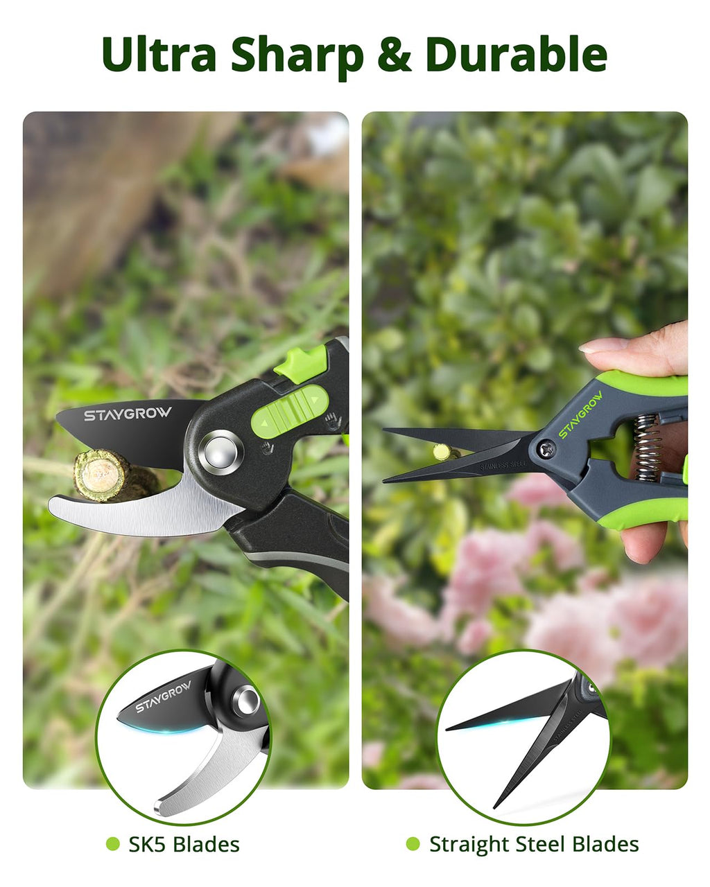 2pcs 6.5" Pruning Shears for Gardening Ultra Sharp Garden Scissors | Plant Snips for Precise Cuts, Stainless Steel Bonsai Clippers with Spring Loaded, Garden Shears (1pc Straight & 1pc Curved)