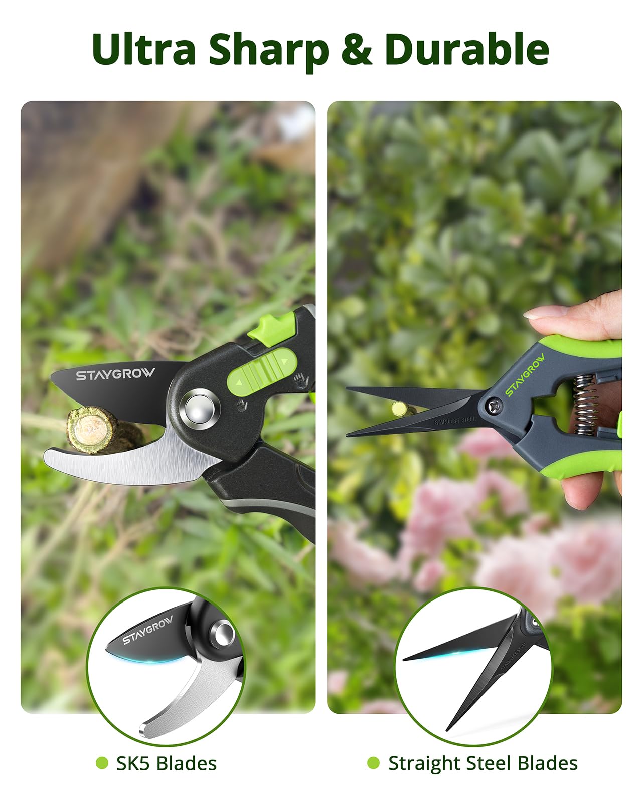 2pcs 6.5" Pruning Shears for Gardening Ultra Sharp Garden Scissors | Plant Snips for Precise Cuts, Stainless Steel Bonsai Clippers with Spring Loaded, Garden Shears (1pc Straight & 1pc Curved)