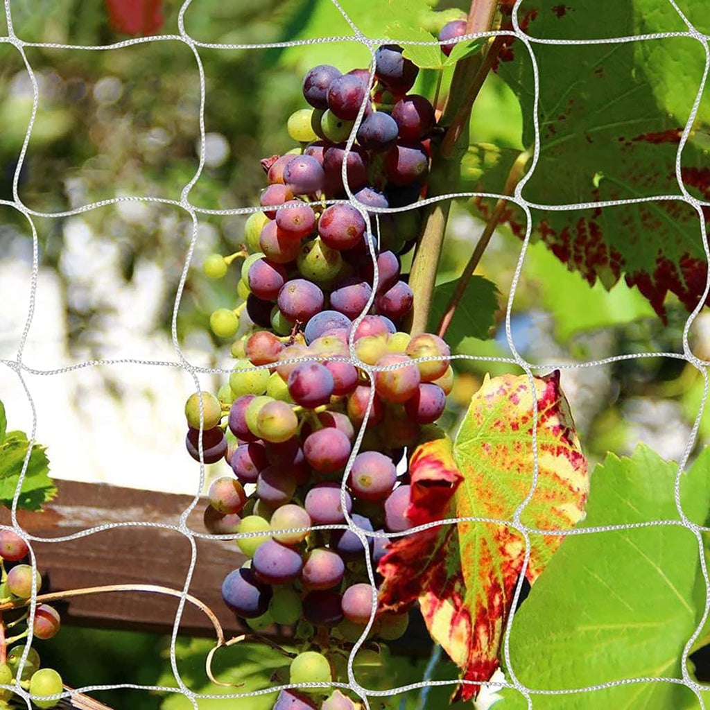 Tcamp Heavy-Duty Polyester Garden Trellis Netting, 5Ft x15Ft (1 Pack) | 3.5" Opening Mesh Plant Climbing Net for Growing Vines Plants Vegetables Fruits Flowers, White Grow Tent