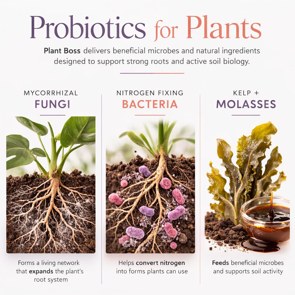 Plant Boss Mycorrhizal Fungi Root Booster – Premium Mycorrhizae for Houseplants, Flowers & Garden Plants – Improves Root Growth, Nutrient Uptake & Plant Health – 4 oz