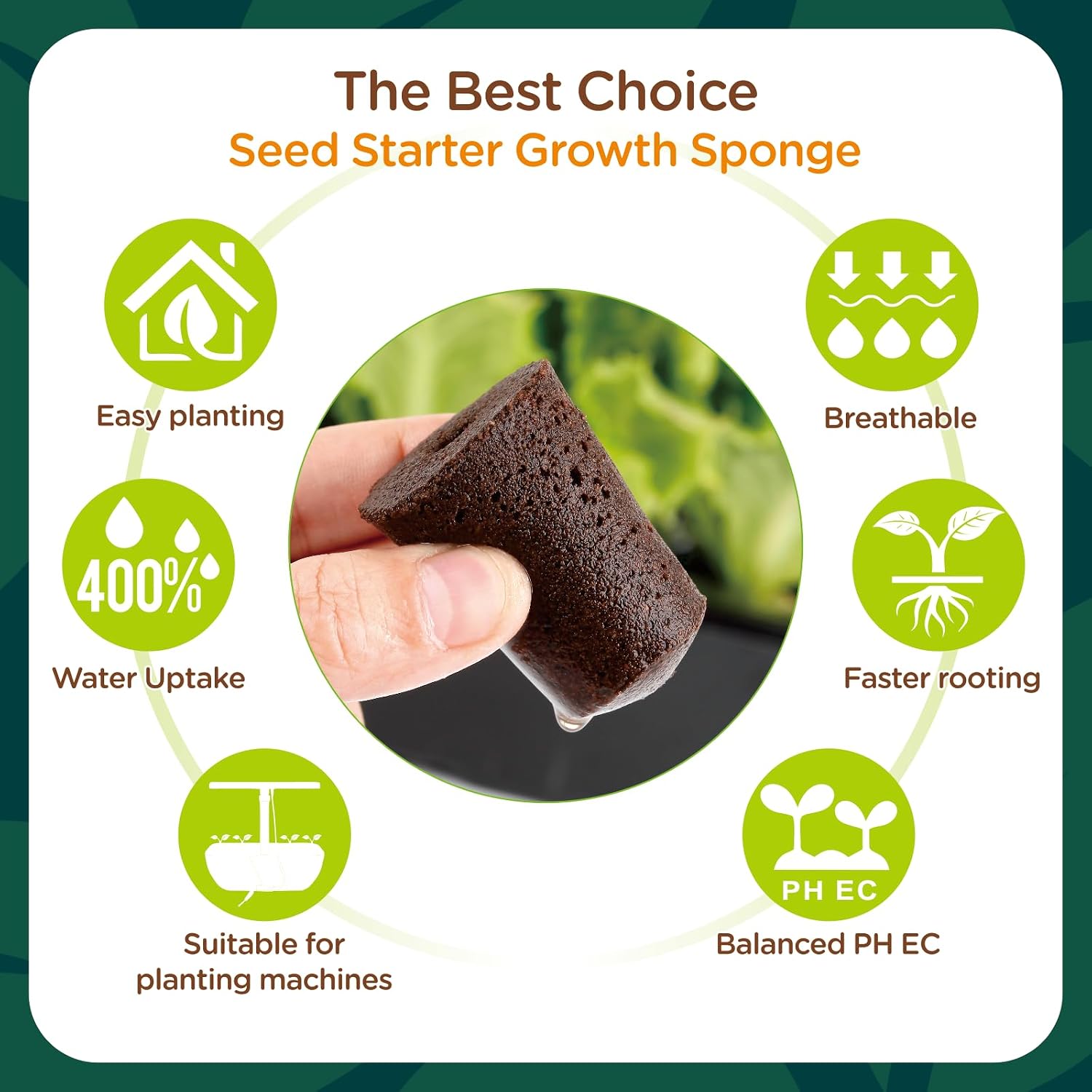 70 Count Hydroponic Grow Sponges, Pre-Drilled Seed Starter Plugs | Hydroponic Refill Pods for Starting Seeds, Herbs, Lettuce and Cuttings in Compatible Indoor Hydroponic Growing Systems.