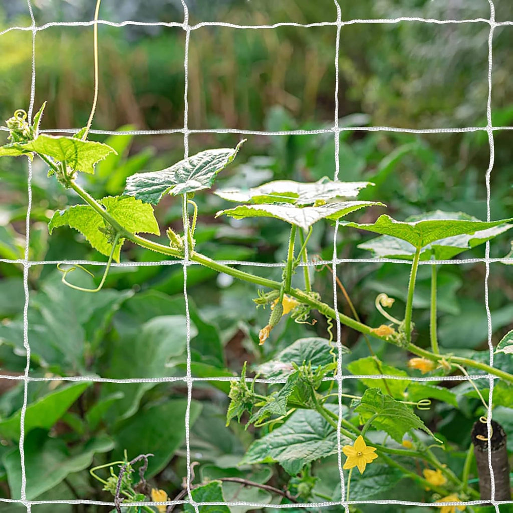 Tcamp Heavy-Duty Polyester Garden Trellis Netting, 5Ft x15Ft (1 Pack) | 3.5" Opening Mesh Plant Climbing Net for Growing Vines Plants Vegetables Fruits Flowers, White Grow Tent
