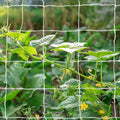 Tcamp Heavy-Duty Polyester Garden Trellis Netting, 5Ft x15Ft (1 Pack) | 3.5" Opening Mesh Plant Climbing Net for Growing Vines Plants Vegetables Fruits Flowers, White Grow Tent