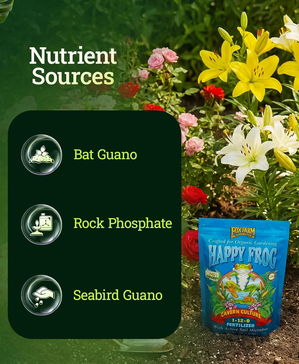 FoxFarm Happy Frog Cavern Culture Bat Guano Fertilizer - 1-12-0 Blend of Rock Phosphate, Seabird Guano for Bud and Flower Development - Encourages Delicious Tasting Fruits & Vegetables - 4 lb