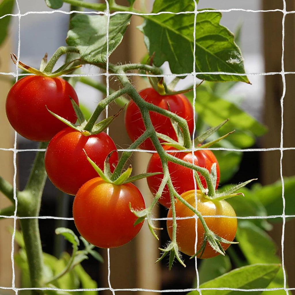 Tcamp Heavy-Duty Polyester Garden Trellis Netting, 5Ft x15Ft (1 Pack) | 3.5" Opening Mesh Plant Climbing Net for Growing Vines Plants Vegetables Fruits Flowers, White Grow Tent