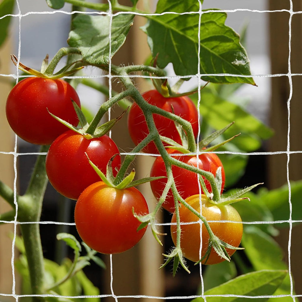 Tcamp Heavy-Duty Polyester Garden Trellis Netting, 5Ft x15Ft (1 Pack) | 3.5" Opening Mesh Plant Climbing Net for Growing Vines Plants Vegetables Fruits Flowers, White Grow Tent