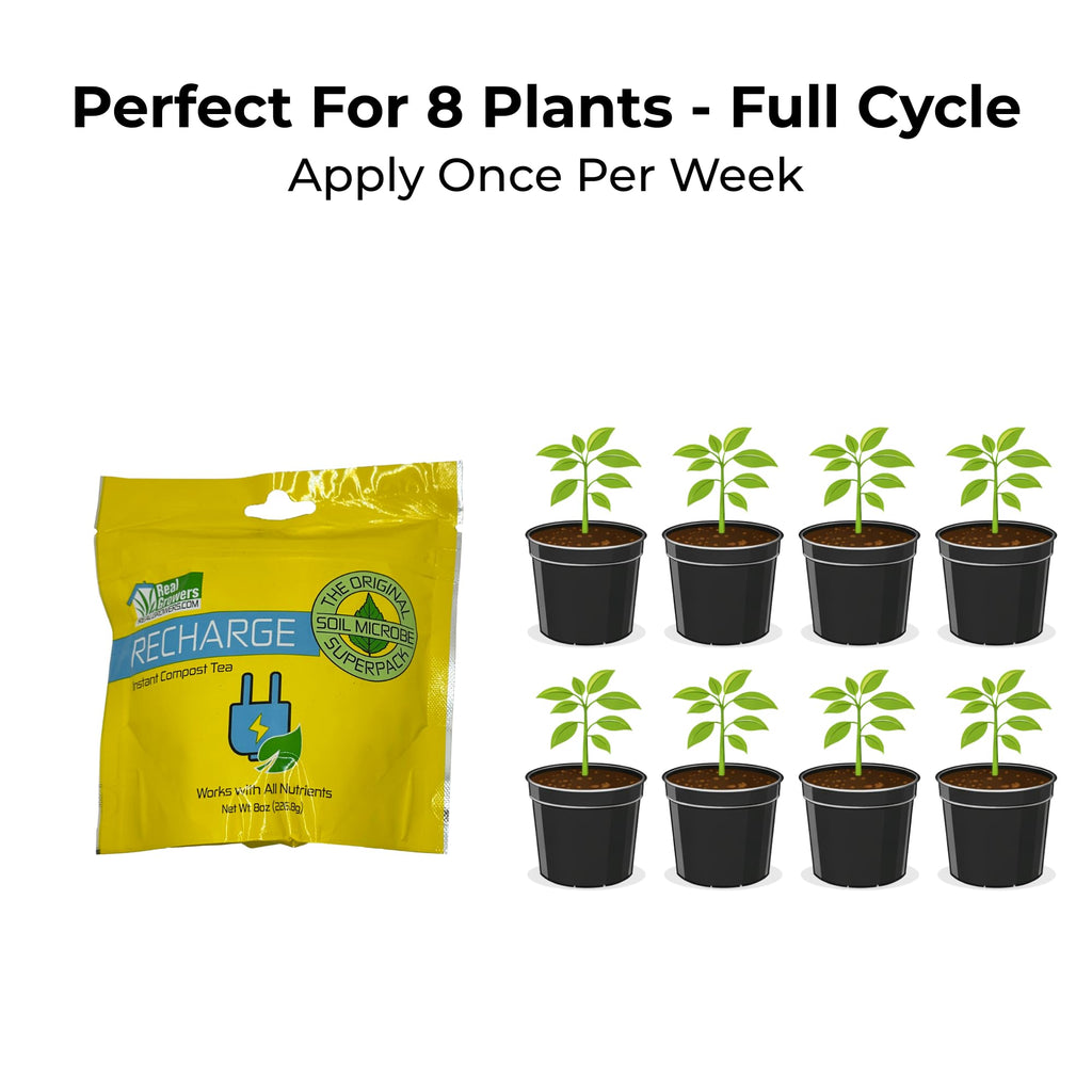 Real Growers Recharge 2 oz – Explosive Root Growth with Mycorrhizae for Living Soil & Coco Coir