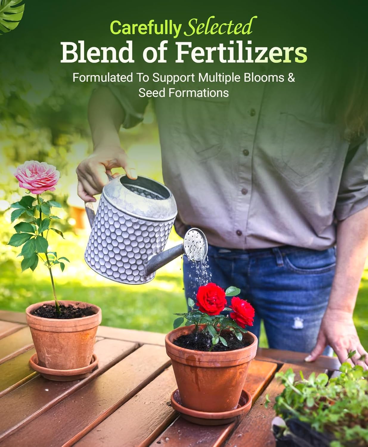 Fox Farm Big Bloom Liquid Plant Food - Organic Bloom Fertilizer for Flowering & Fruiting Plants, Contains Earthworm Castings & Bat Guano - Supports All Stages of Plant Growth - 0-0.5-0.7 NPK, 1 Pint