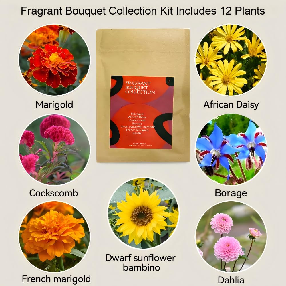 Inbloom Fragrant Bouquet Flower 7 Pods Seed Pod Kit for AeroGarden, iDoo, Ahopegarden, GARDENCUBE(350+ Flower Seeds with Marigold, Daisy, Cockscomb, Borage, Dwarf Sunflower Bambino, Marigold, Dahlia)