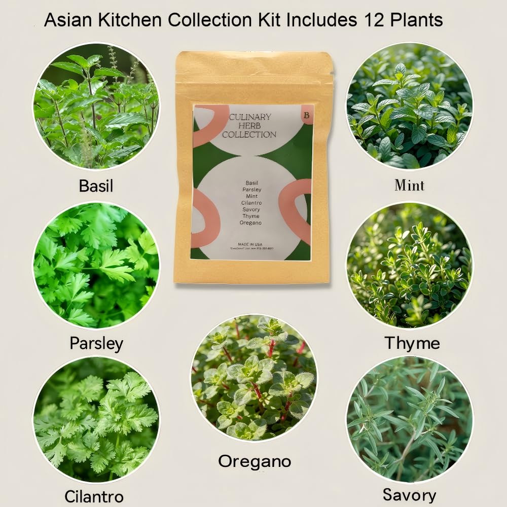 inbloom Hydroponics Herb Seed Pod Kit for AeroGarden, iDoo, Ahopegarden, GARDENCUBE, 7 Pods (350+ Herb Seeds with Basil, Parsley, Mint, Cilantro, Savory, Thyme and Oregano)