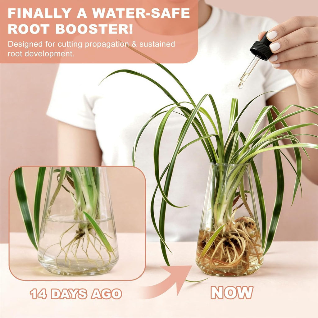 Root Drops - Liquid Rooting Hormone for Cuttings- Fast Growth Propagation Drops | Less Shock in Water/Soil/LECA/Moss | Fits Pothos, Monstera, Philodendron & All Houseplants (4 oz) (1)