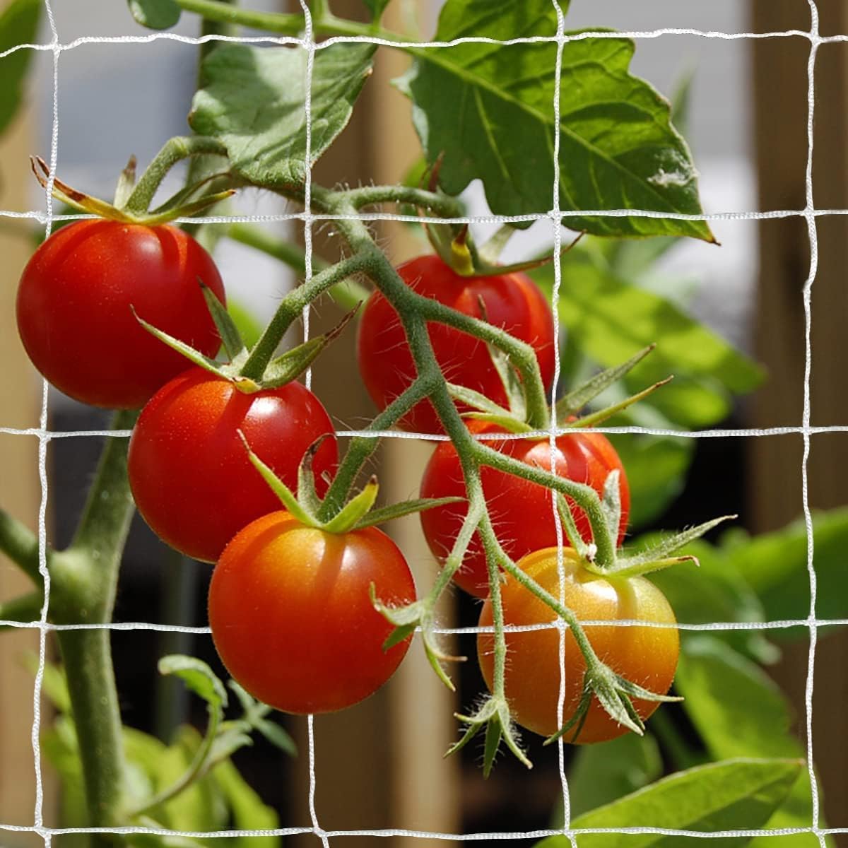 Tcamp Heavy-Duty Polyester Garden Trellis Netting, 5Ft x15Ft (1 Pack) | 3.5" Opening Mesh Plant Climbing Net for Growing Vines Plants Vegetables Fruits Flowers, White Grow Tent