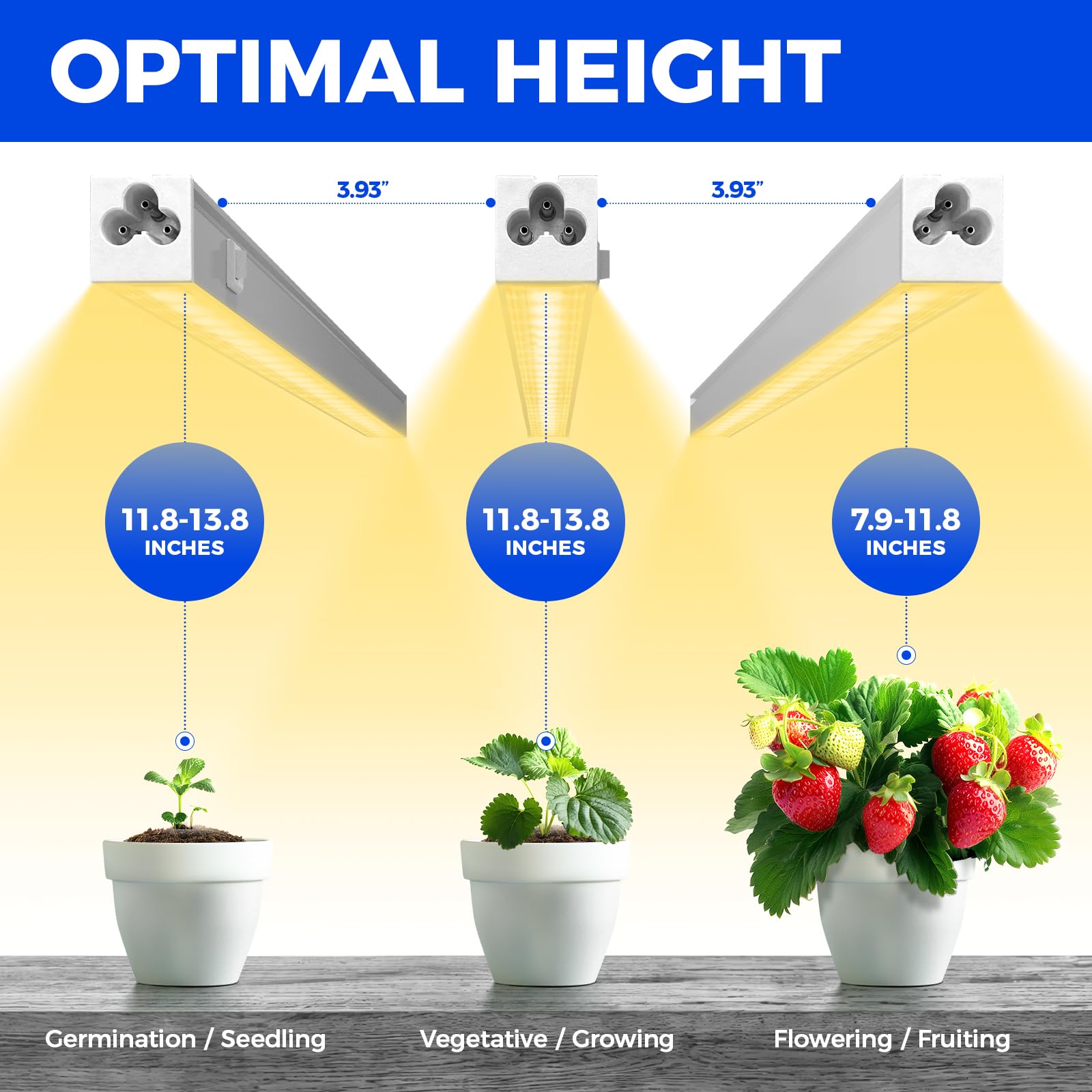 Barrina Grow Lights for Indoor Plant, T5 1FT Full Spectrum, Yellow, 4 Packs | Black Cover LED Grow Light Strips, Linkable, Plant Light for Indoor Plants Growing, 3 Mounting Modes, Separate On/Off