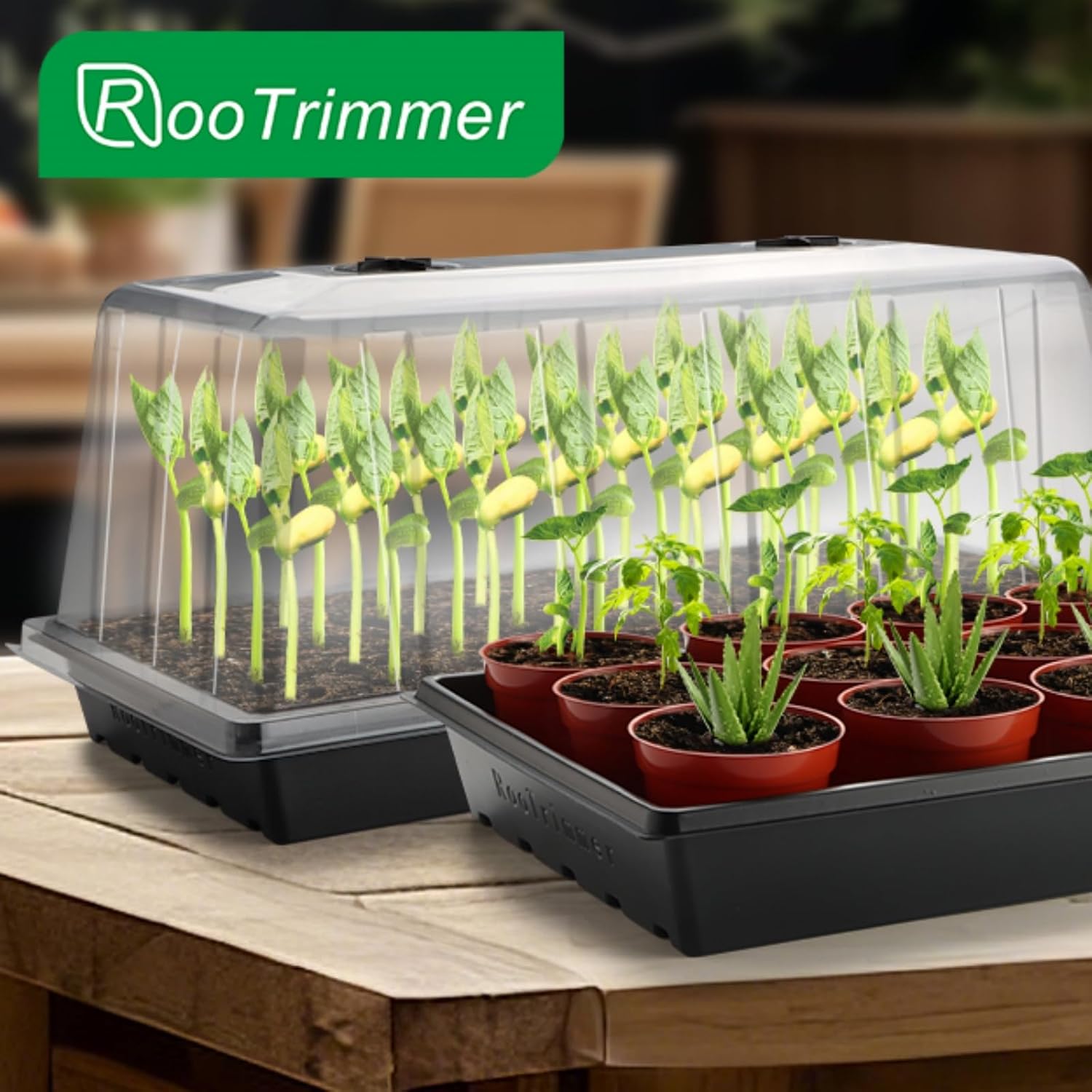 1020 Seed Starting Trays with Tall 7.3" Humidity Dome, No Hole, 5-Pack | Heavy Duty Plant Tray with High Lid for Taller Seedlings, Large Seed Growing Kit, Mini Greenhouse for Indoor Seed Germination